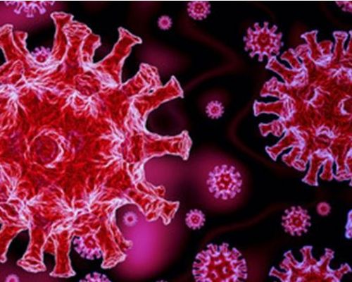 Wiedereinstieg in den Vereinssport